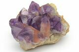 Deep Purple Amethyst Crystal Cluster - DR Congo #223271-1